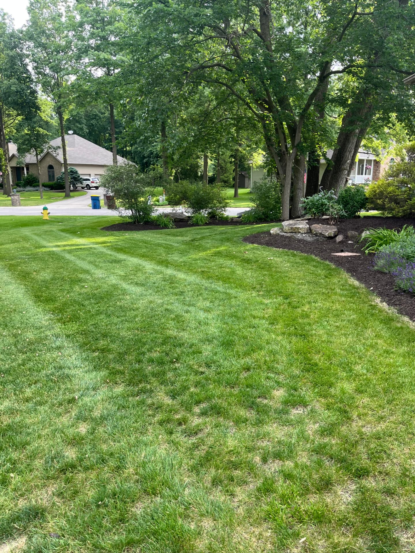 Well-maintained landscaping and lawn at a Bluffton, Indiana home